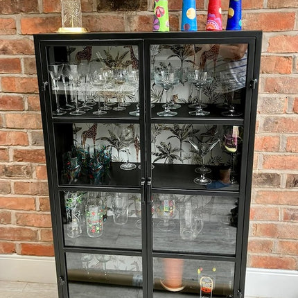 Black metal glazed industrial jungle display cabinet - Back in stock May