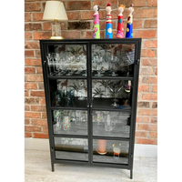 Black metal glazed industrial jungle display cabinet