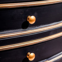 Black metal tall storage cabinet with bronze trim