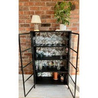 Black metal glazed industrial jungle display cabinet