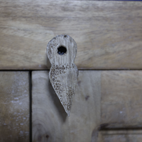 Ornate carved wood shelved storage cupboard