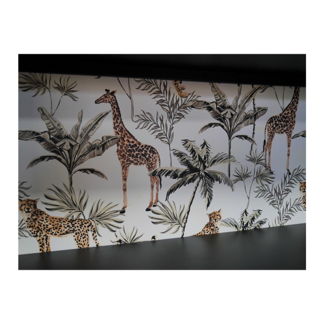 Black metal glazed industrial jungle display cabinet